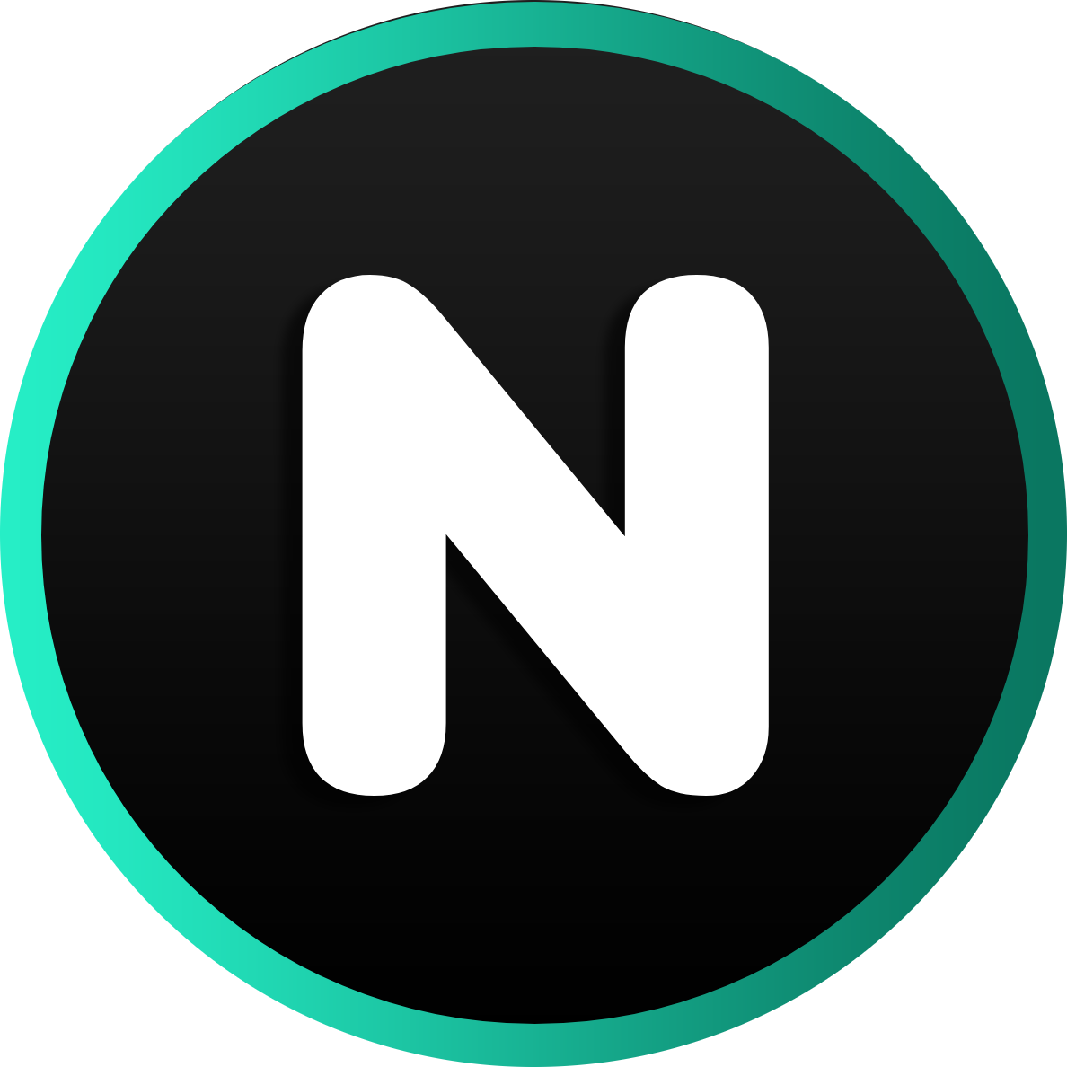 Netix Development